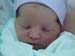 libby-1 105a